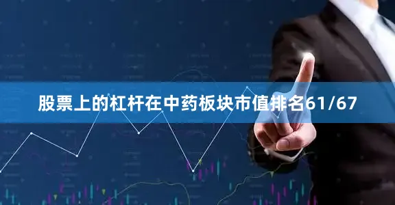 股票上的杠杆在中药板块市值排名61/67