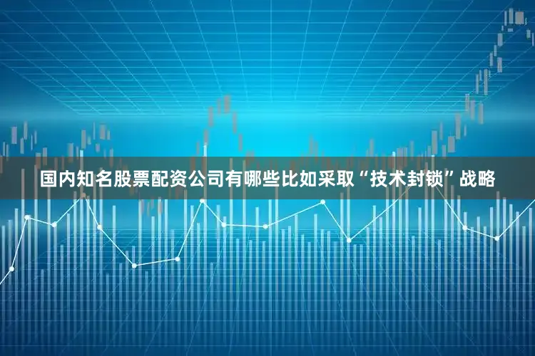国内知名股票配资公司有哪些比如采取“技术封锁”战略