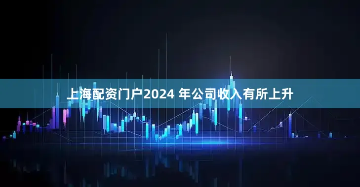 上海配资门户2024 年公司收入有所上升
