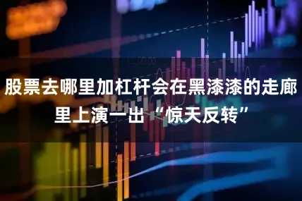 股票去哪里加杠杆会在黑漆漆的走廊里上演一出 “惊天反转”